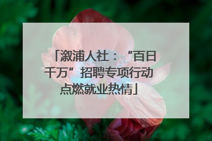 溆浦人社：“百日千万”招聘专项行动点燃就业热情
