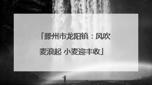 滕州市龙阳镇：风吹麦浪起 小麦迎丰收