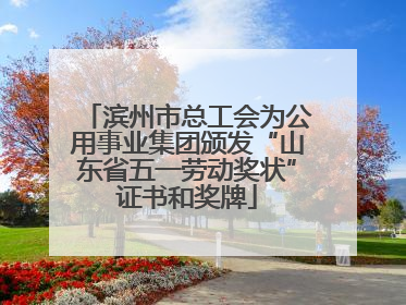 滨州市总工会为公用事业集团颁发“山东省五一劳动奖状”证书和奖牌