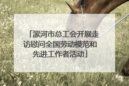漯河市总工会开展走访慰问全国劳动模范和先进工作者活动
