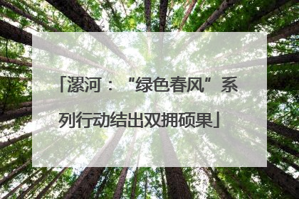 漯河：“绿色春风”系列行动结出双拥硕果