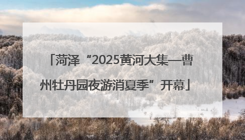 菏泽“2025黄河大集—曹州牡丹园夜游消夏季”开幕