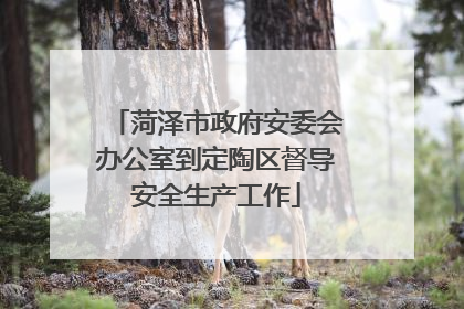 菏泽市政府安委会办公室到定陶区督导安全生产工作