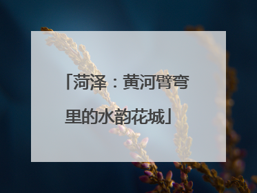 菏泽：黄河臂弯里的水韵花城