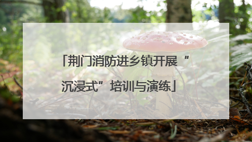 荆门消防进乡镇开展“沉浸式”培训与演练