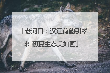 老河口：汉江荷韵引翠来 初夏生态美如画
