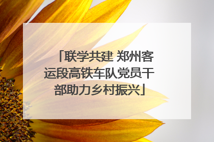 联学共建 郑州客运段高铁车队党员干部助力乡村振兴