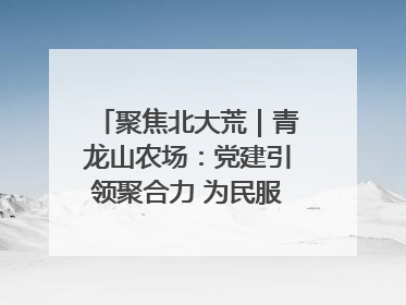 聚焦北大荒｜青龙山农场：党建引领聚合力 为民服务践初心