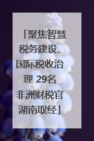 聚焦智慧税务建设、国际税收治理 29名非洲财税官湖南取经