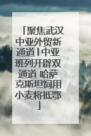 聚焦武汉中亚外贸新通道│中亚班列开辟双通道 哈萨克斯坦饲用小麦将抵鄂