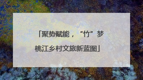 聚势赋能，“竹”梦桃江乡村文旅新蓝图