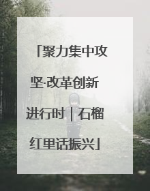 聚力集中攻坚·改革创新进行时｜石榴红里话振兴