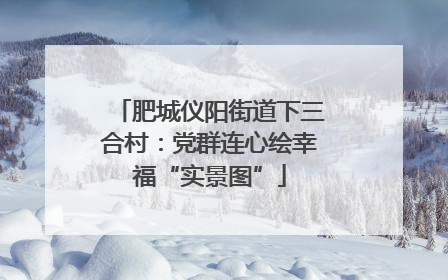 肥城仪阳街道下三合村：党群连心绘幸福“实景图”