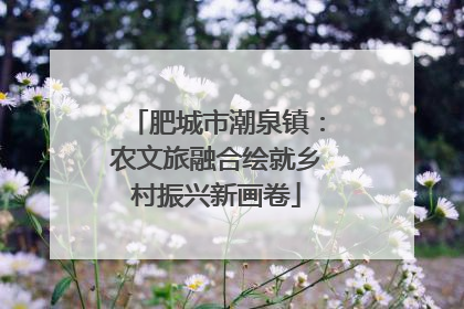 肥城市潮泉镇：农文旅融合绘就乡村振兴新画卷