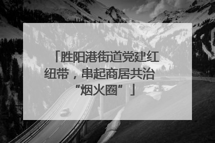 胜阳港街道党建红纽带，串起商居共治 “烟火圈”