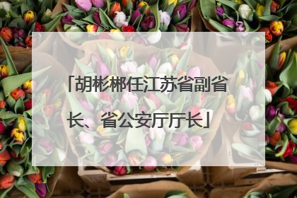 胡彬郴任江苏省副省长、省公安厅厅长