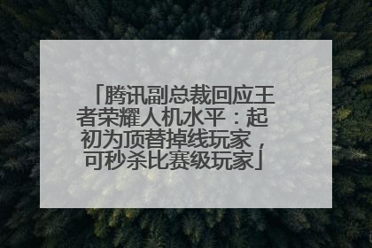 腾讯副总裁回应王者荣耀人机水平：起初为顶替掉线玩家，可秒杀比赛级玩家