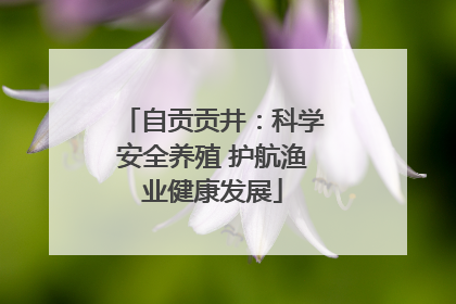 自贡贡井：科学安全养殖 护航渔业健康发展