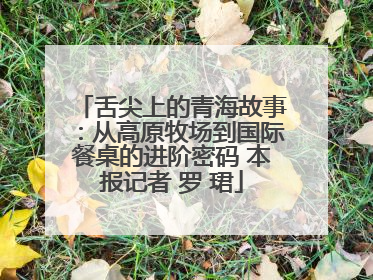 舌尖上的青海故事：从高原牧场到国际餐桌的进阶密码 本报记者 罗 珺