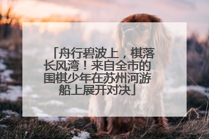 舟行碧波上，棋落长风湾！来自全市的围棋少年在苏州河游船上展开对决