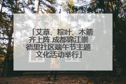 艾草、粽叶、木箭齐上阵 成都锦江崇德里社区端午节主题文化活动举行