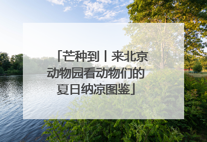 芒种到丨来北京动物园看动物们的夏日纳凉图鉴