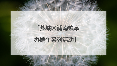 芗城区浦南镇举办端午系列活动