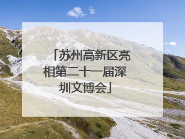 苏州高新区亮相第二十一届深圳文博会