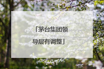 茅台集团领导层有调整