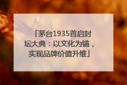 茅台1935首启封坛大典：以文化为锚，实现品牌价值升维