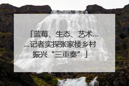 蓝莓、生态、艺术……记者实探张家楼乡村振兴“三重奏”