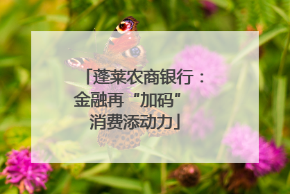 蓬莱农商银行：金融再“加码” 消费添动力