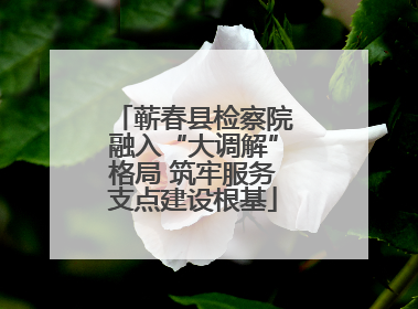 蕲春县检察院融入“大调解”格局 筑牢服务支点建设根基
