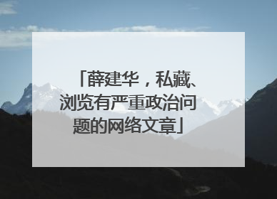 薛建华，私藏、浏览有严重政治问题的网络文章