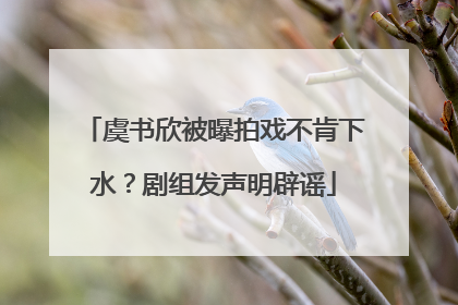虞书欣被曝拍戏不肯下水？剧组发声明辟谣