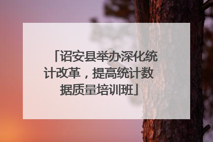 诏安县举办深化统计改革，提高统计数据质量培训班