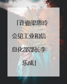 许勤梁惠玲会见工业和信息化部部长李乐成