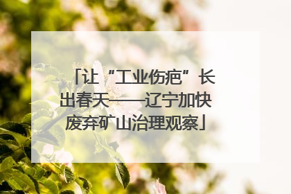 让“工业伤疤”长出春天——辽宁加快废弃矿山治理观察
