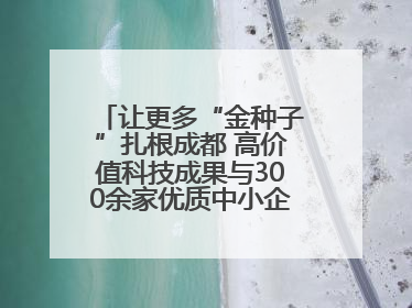 让更多“金种子”扎根成都 高价值科技成果与300余家优质中小企业精准对接