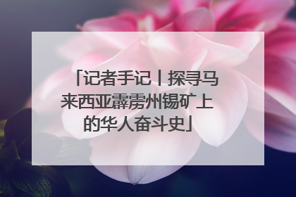 记者手记丨探寻马来西亚霹雳州锡矿上的华人奋斗史