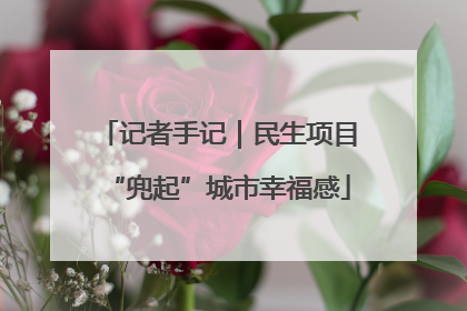 记者手记｜民生项目“兜起”城市幸福感