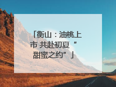 衡山：油桃上市 共赴初夏“甜蜜之约”