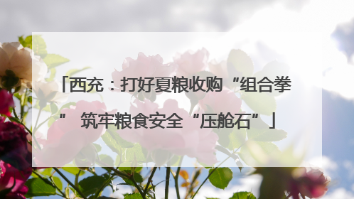 西充：打好夏粮收购“组合拳” 筑牢粮食安全“压舱石”