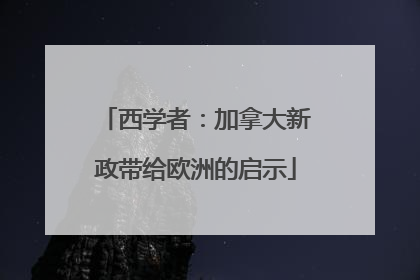 西学者：加拿大新政带给欧洲的启示
