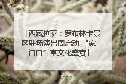 西藏拉萨：罗布林卡景区驻场演出周启动 “家门口”享文化盛宴