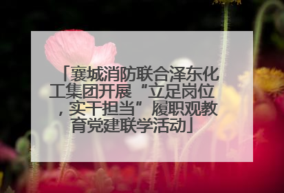 襄城消防联合泽东化工集团开展“立足岗位，实干担当”履职观教育党建联学活动