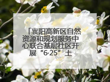 襄阳高新区自然资源和规划服务中心联合基层社区开展“6·25”土地日宣传活动