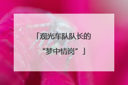 观光车队队长的“梦中情岗”