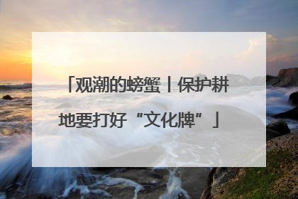 观潮的螃蟹丨保护耕地要打好“文化牌”
