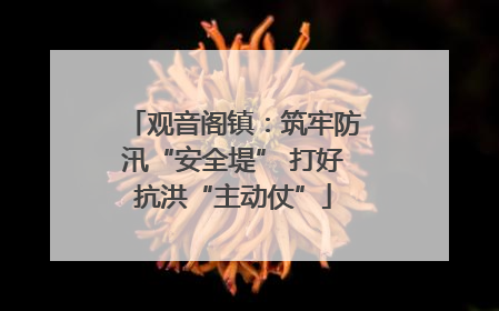 观音阁镇：筑牢防汛“安全堤” 打好抗洪“主动仗”